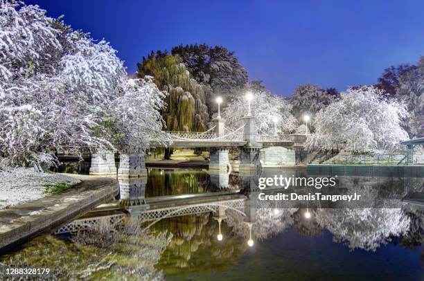 snow covered boston public garden - boston winter stock pictures, royalty-free photos & images