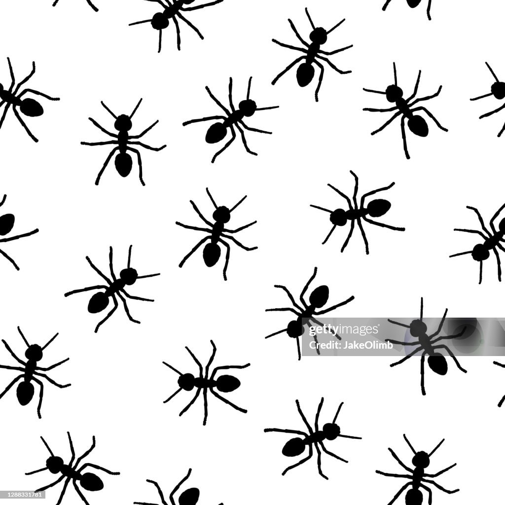 Ant Pattern Real Ants Pattern High-Res Vector Graphic - Getty Images