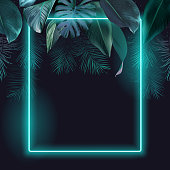 Tropical elegant frame arranged from exotic emerald leaves Design vector.