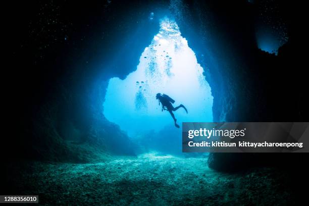 cave diving - sporttauchen stock-fotos und bilder