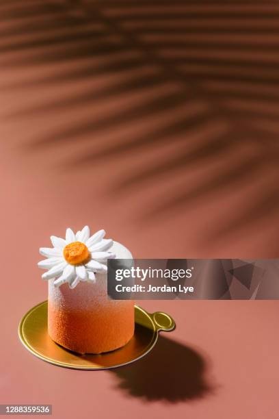 daisy dessert cake - gelatin dessert stockfoto's en -beelden