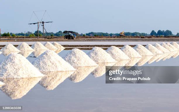 this is a local life of people who born in the city of salt. this place called "naklua", located in samutsakorn, thailand - sodium stock pictures, royalty-free photos & images