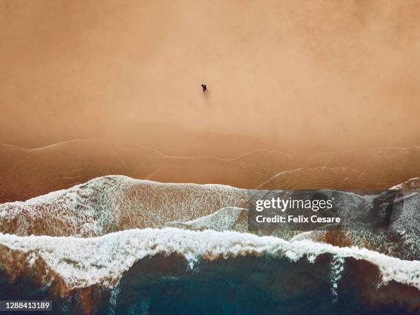 aerial view of a solo lonely man walking on a sandy beach. - borde del agua fotografías e imágenes de stock