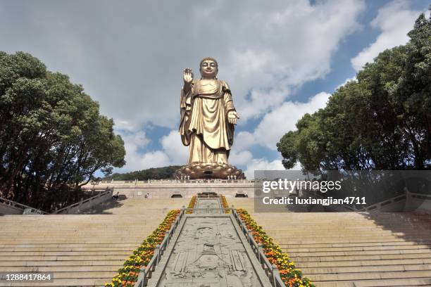 grand buddha bei ling shan in china - großer buddha stock-fotos und bilder