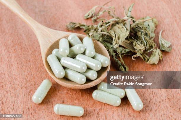 herb medical capsules in wooden spoon with dry leaves herb on wooden background. - homeopatía fotografías e imágenes de stock