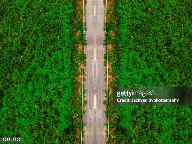 the road in the middle of the field./aerial shot - top view road bildbanksfoton och bilder