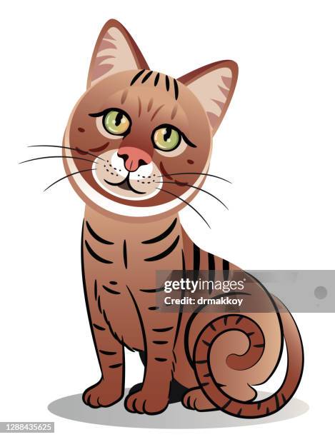 tabby cat - tabby stock illustrations