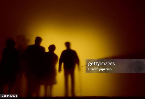 vaccination against covid-19 by risk groups - family silhouette interior fotografías e imágenes de stock