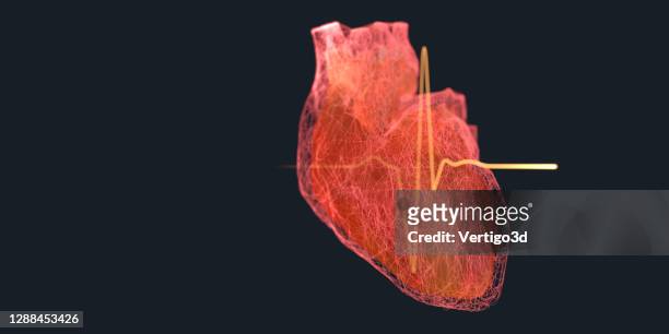 innovations in medicine concept human heart 3d concept - human heart stock pictures, royalty-free photos & images