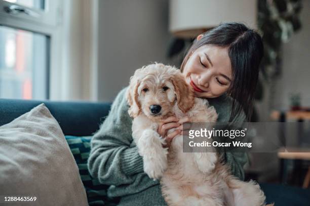 smiling young woman pampering her puppy at home - asian woman at home stock pictures, royalty-free photos & images