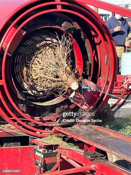 Christmas Tree Machine Machine Christmas Tree Photos and Premium High Res Pictures - Getty Images