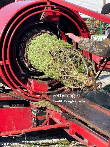 Christmas Tree Machine 207 Machine Christmas Tree Stock Photos, High-Res Pictures, and Images ...