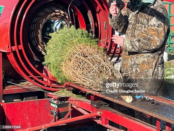 christmas tree baler and netting machine - machine christmas tree imagens e fotografias de stock