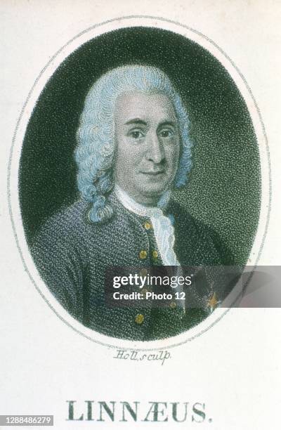 Linnaus 687 Carl Linnaeus Stock Photos, High-Res Pictures, and Images - Getty ...