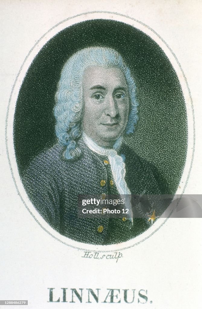 Linnesus Linnaeus . Swedish naturalist and physician. Scientific nomenclature ...