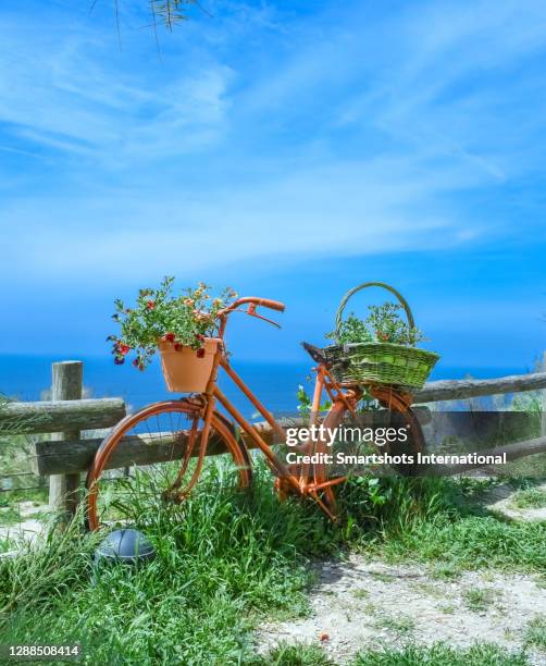 recycled bicycle decorated with flowers in bloom in rural setting around san remo, liguria, italy - bicycle basket stock pictures, royalty-free photos & images