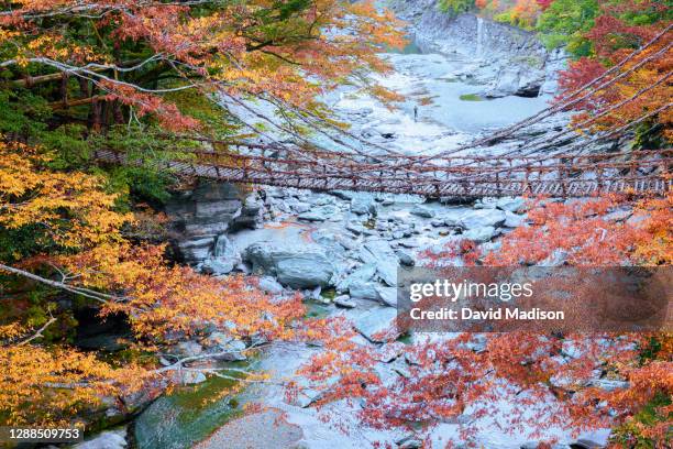 the kazurabashi bridge, iya valley, shikoku, japan - iya valley stock pictures, royalty-free photos & images