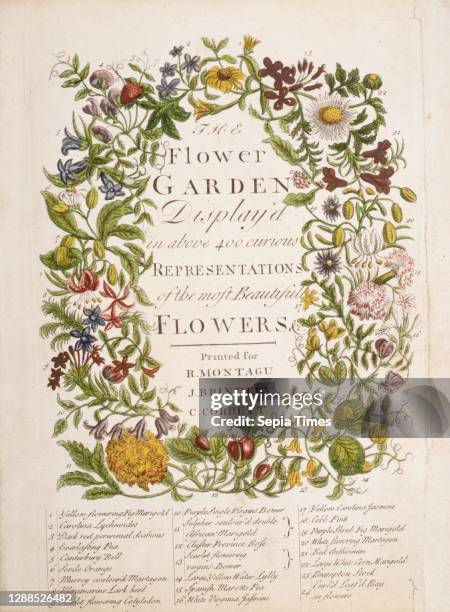 The Flower-Garden Display'd, In Above Four Hundred Curious Representations Of the Most Beautiful Flowers; Regularly Dispos'd in the Respective Months...