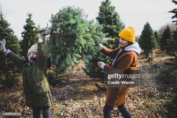 mamá e hija divirtiéndose en una granja de árboles de navidad - christmas tree farm fotografías e imágenes de stock