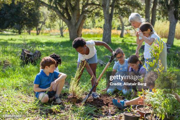 children planting trees together in nature - africa unite stock-fotos und bilder