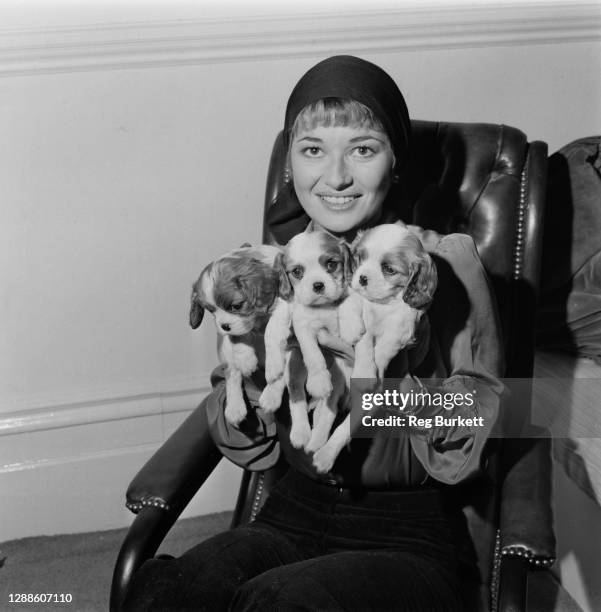 English actress Stephanie Beacham with the three puppies of her Cavalier King Charles spaniel, UK, 7th February 1973.