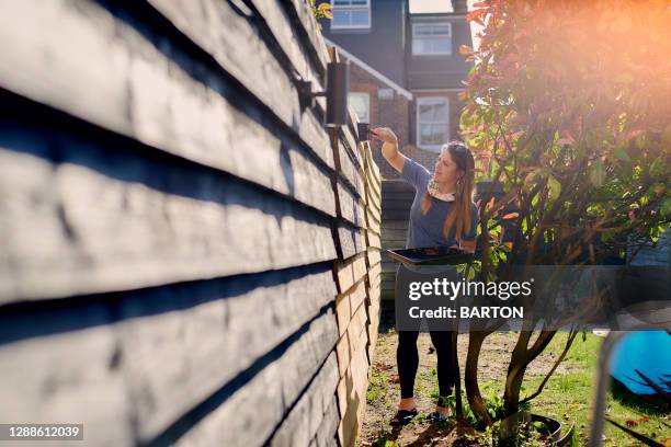 young woman painting garden fence in the sun - painted fences stock pictures, royalty-free photos & images