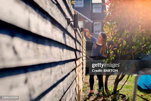 young woman painting garden fence in the sun - fence stock pictures, royalty-free photos & images