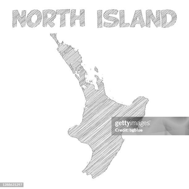 ilustrações de stock, clip art, desenhos animados e ícones de north island map hand drawn on white background - auckland