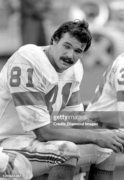 Tight end Russ Francis of the New England Patriots on the sideline during a game against the New York Jets at Shea Stadium on October 02, 1977 in...