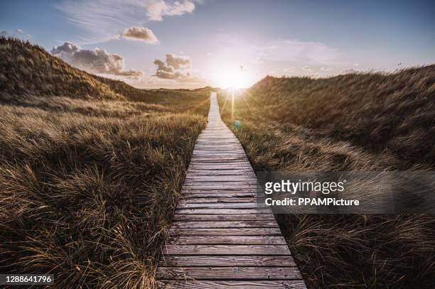太陽の下での遊歩道 - boardwalk ストックフォトと画像