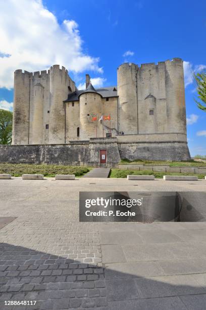niort castle, known as the dungeon, from the 12th century (built by henri ii plantagenêt and richard coeur de lion) - niort photos et images de collection