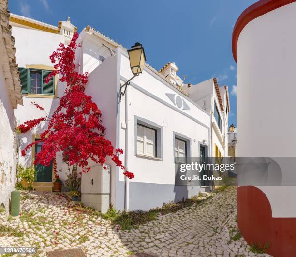 Typical portugese street with a red bougainvillaea, Alte, Portugal.