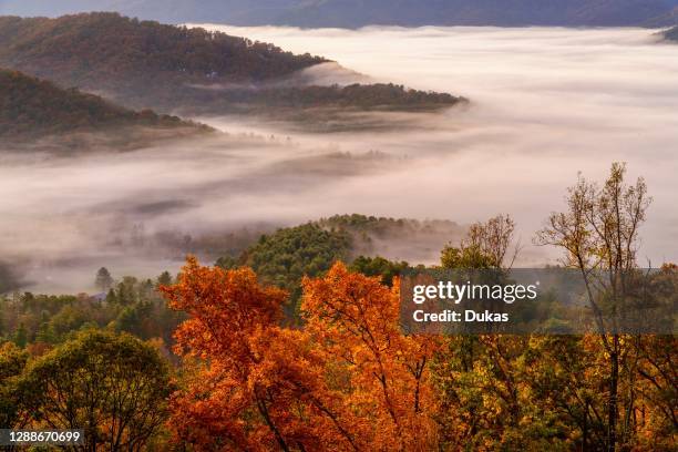 Deep South, North Carolina, Southern Appalachians, Asheville, Blue Ridge Parkway.