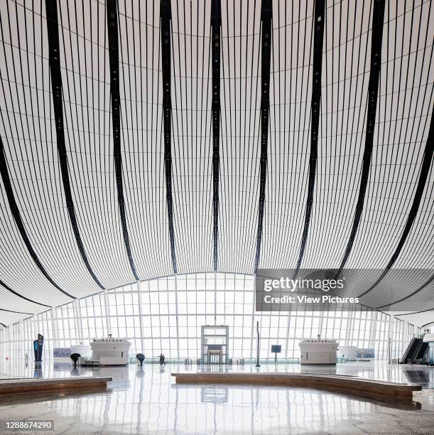 Curved roof structure towards window wall. Beijing Daxing International Airport, Daxing, China. Architect: Zaha Hadid Architects, 2019.