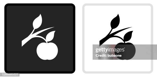 growing apple icon on  black button with white rollover - apple tree stock illustrations