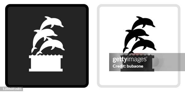 dolphins jumping icon on black button with white rollover - dolphin jumping stock illustrations