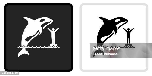 orca icon on black button with white rollover - orca stock illustrations