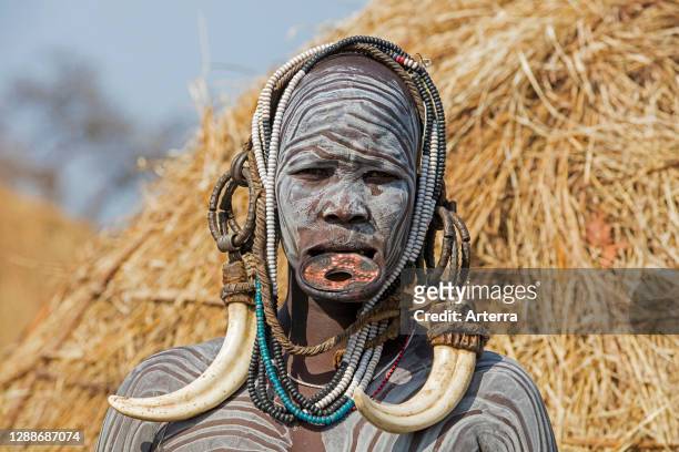 Painted woman of the Mursi tribe wearing lip plate and huge tusks earrings in the Mago National Park, Jinka, Debub Omo Zone, Southern Ethiopia,...