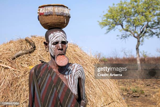 Painted woman of the Mursi tribe wearing lip plate and basket on her head in the Mago National Park, Jinka, Debub Omo Zone, Southern Ethiopia, Africa.