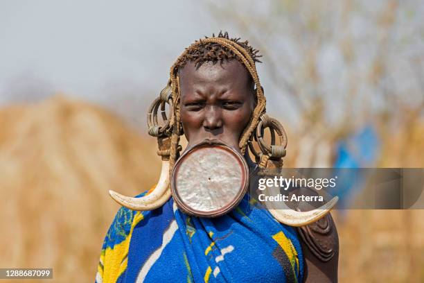 Black woman of the Mursi tribe wearing lip plate and huge tusks earrings in the Mago National Park, Jinka, Debub Omo Zone, Southern Ethiopia, Africa.