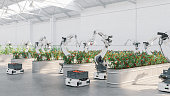 Automated Agriculture With Robots