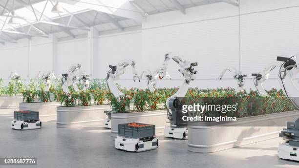 automated agriculture with robots - factory imagens e fotografias de stock