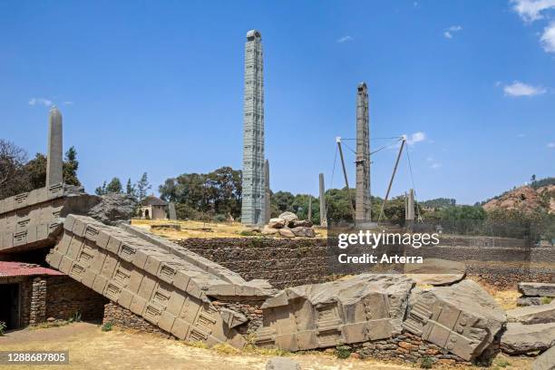 4th century King Ezana's Stela and fallen and broken Great Stele at the Northern Stelae Park in Axum / Aksum, Tigray Region, Ethiopia, Africa .