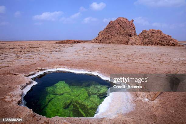 Lake formed in hole in salt layer in desert of the Danakil Depression, lowest and hottest place on Earth, Afar Region, Ethiopia, Africa.