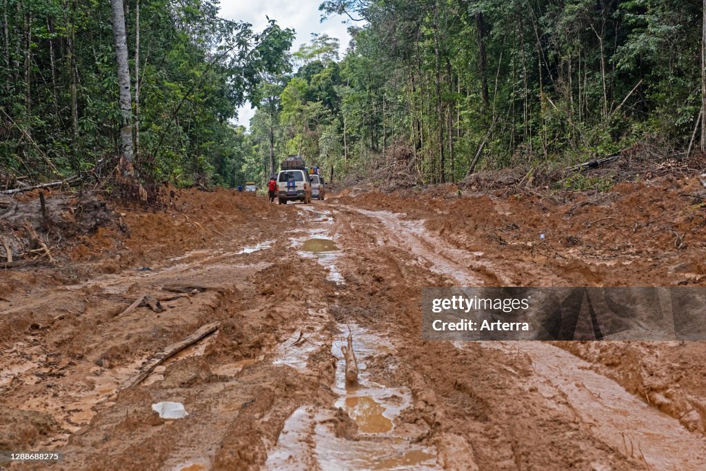 Gra Lethem Minibuses stuck in the mud in the rain forest along the Linden-Lethem ...
