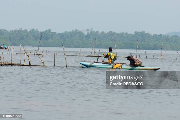 Boat trip along the Bentota River near Aluthgama, Sri Lanka, Asia.