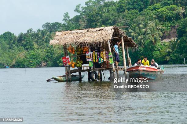 Boat trip along the Bentota River near Aluthgama, Sri Lanka, Asia.