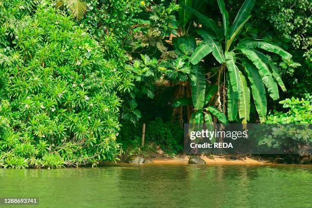 Boat trip along the Bentota River near Aluthgama, Sri Lanka, Asia.