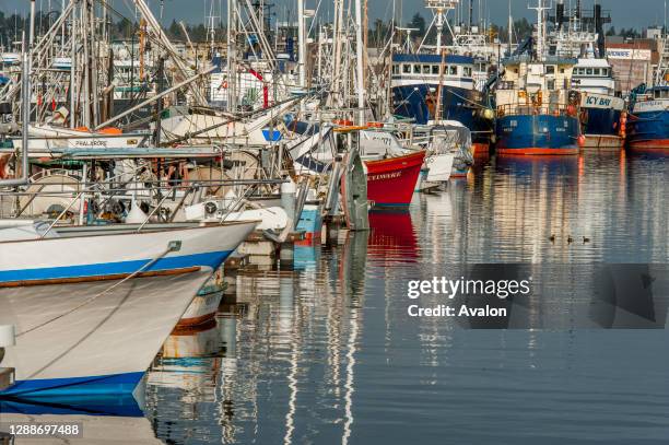 In Fish Terminal 62 Fishermens Terminal Stock Photos, High-Res Pictures, and Images ...