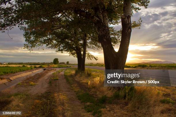 Delta Ut 47,959 Delta Utah Stock Photos, High-Res Pictures, and Images - Getty ...